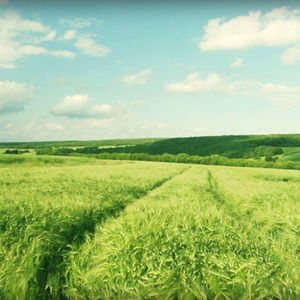 獸交Ⅴideos另类2023年
